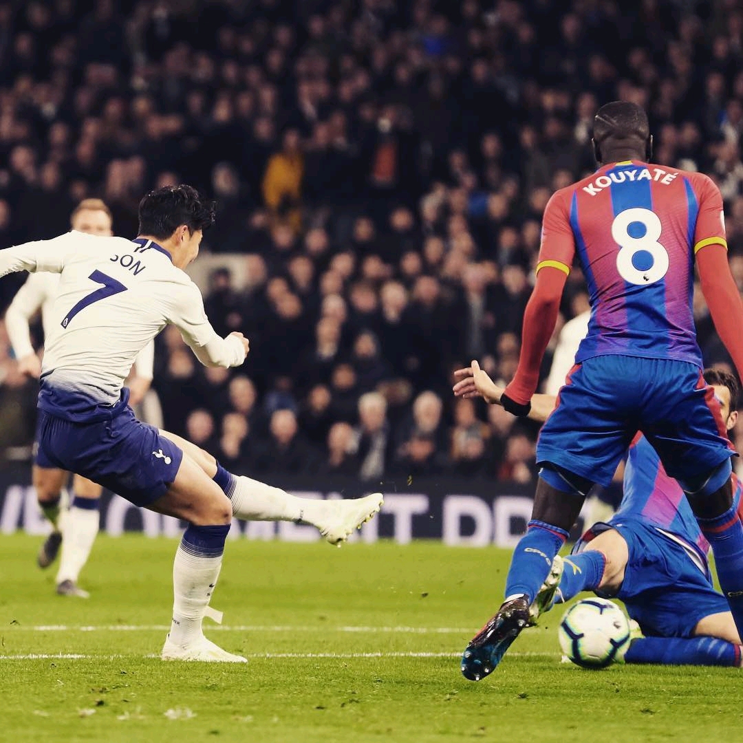 對於球迷們 對於球迷們